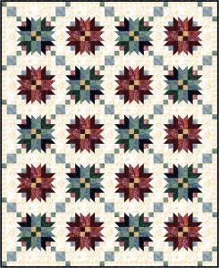 Quilt C 66 x 81.JPG All same background